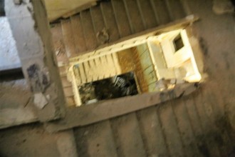 69cash_war_race_2016_122  